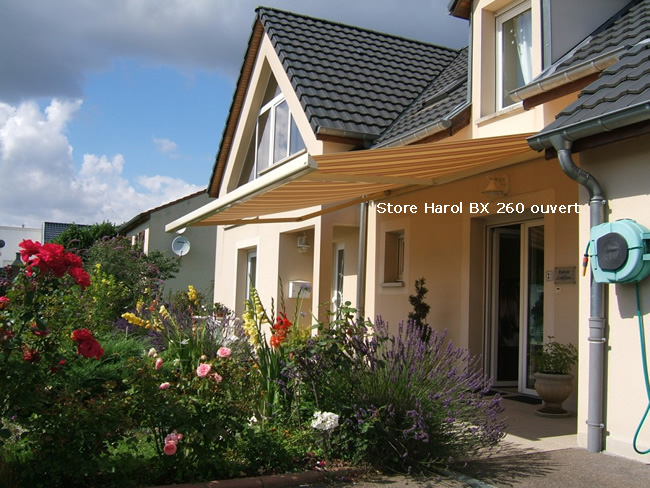 Store Harol Belgique