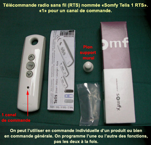 Télécommande Somfy Telis 1 RTS