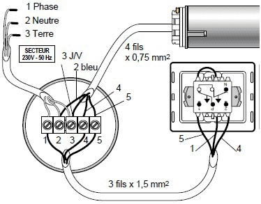 Raccordement moteur somfy