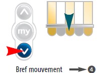 motorisation commande somfy